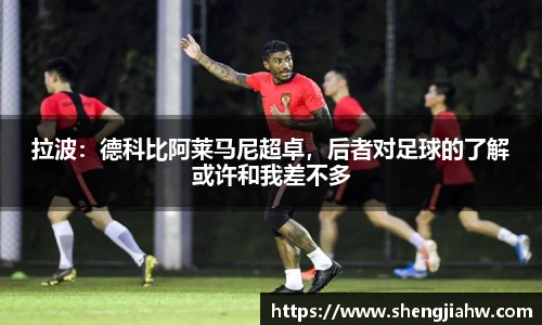 拉波：德科比阿莱马尼超卓，后者对足球的了解或许和我差不多